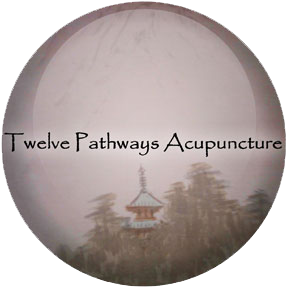 Twelve Pathways Acupuncture Naperville IL Logo